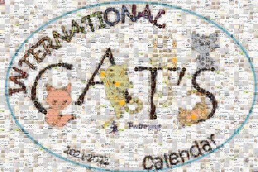 Intenational Cat's Calendar - Krośnica, POLAND by edytabie