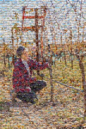 Yavapai College Collage by cewell