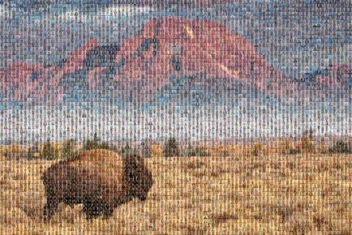 SLC2 - The Herd 1 by liddeale