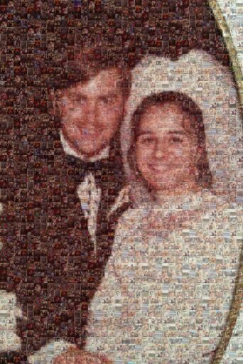 BV50 Mosaic Pic by megvward