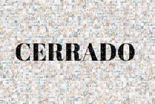 Untitled Copy by alkaesi