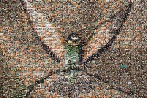 Untitled by abhijeetnigade