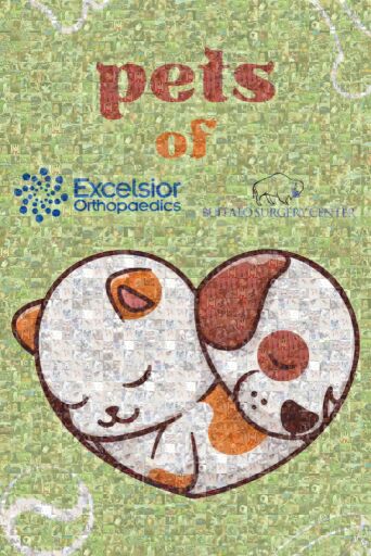 Pets of Excelsior and BSC by cjacobi