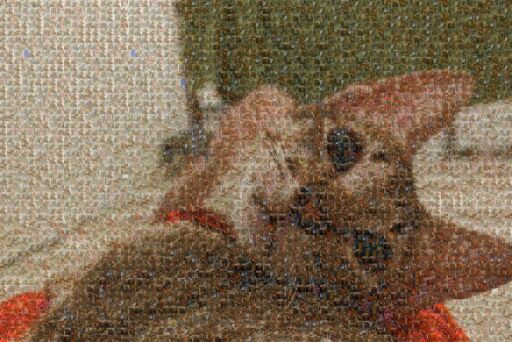 Head Tilted cat by galactickitty