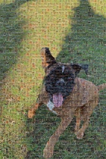 Goodest girl in the world by mislavshlaf