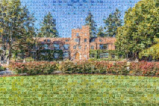 Thinking on The Lines by jmatos