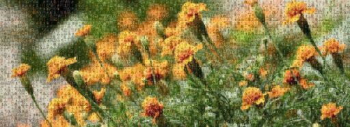 Test w/ Marigolds by noventum