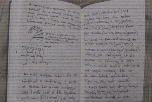 Copilot Manual Copy by razaci