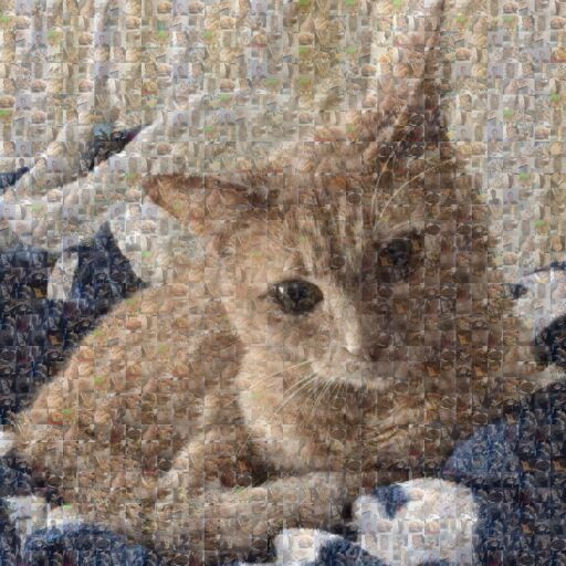 Mika on Blanket by cami120796