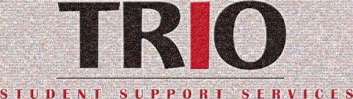 Bloomfield TRIO SSS by christinadilkes