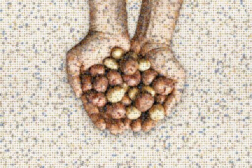 Potato Mosaic by celebratingkoen