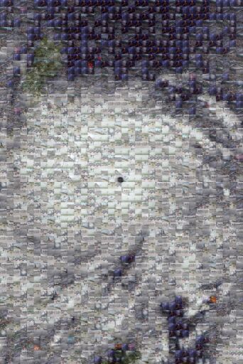 Untitled by bismontelowell