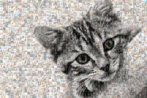 Untitled by vsells32