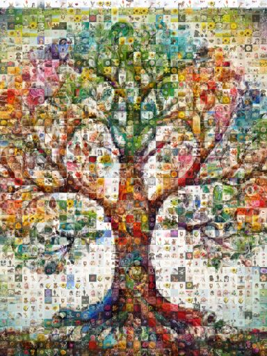 Country Flags  by biney