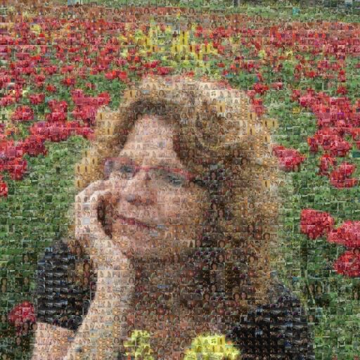 Untitled Copy by barak33