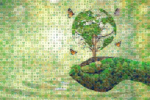 Untitled by zks1dorota