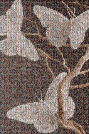 Untitled by escuela8jina9