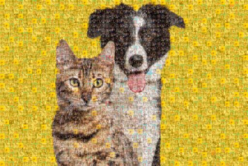 Untitled by martinjmbc