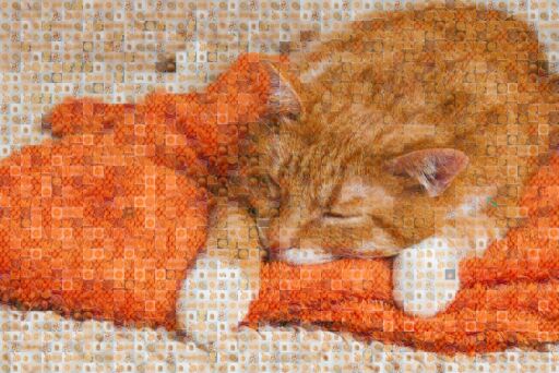 orange cat by 777653