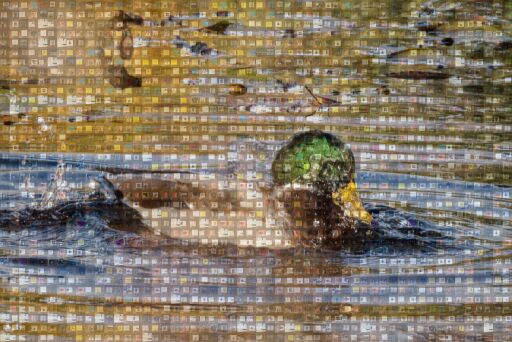 Untitled by studioandromeda