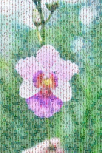 Untitled by sumathi24