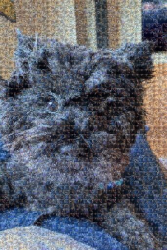 Untitled by gpniccolai