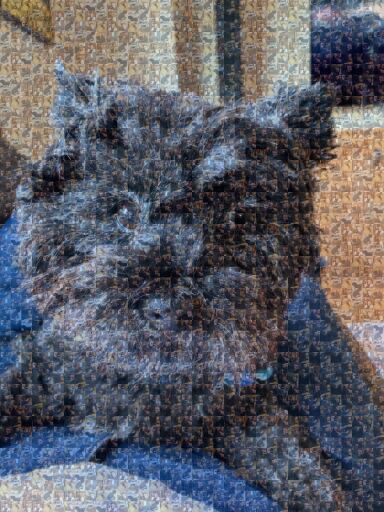 Wiley first draft by gpniccolai