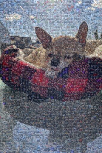 Untitled by swooden52