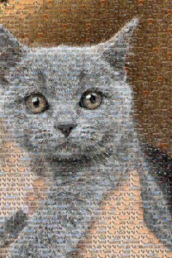 Happy birthday Cindy by thencamemusic