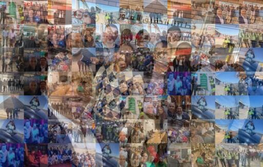 SC Johnson Collage by aliashraf