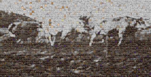 Untitled Copy by callasse