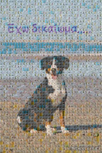 Untitled by raniakoykoyraba