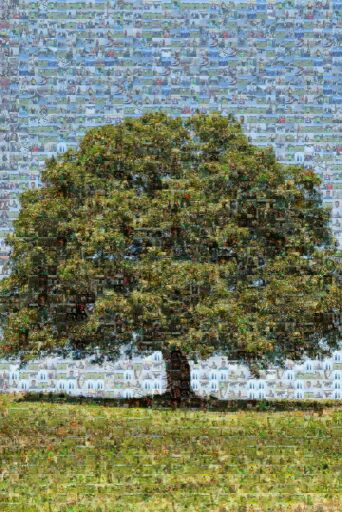 Untitled by massimosalomoni