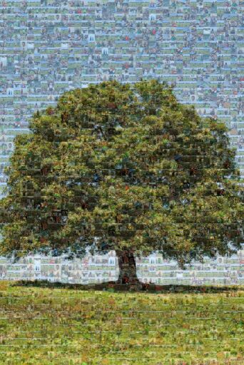 Cascina Verde ultima versione by massimosalomoni