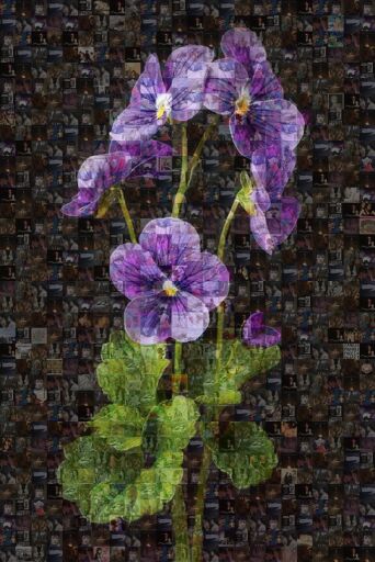 Visual essay: Sapphism by nana707