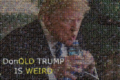 MAGA and WeirdOLD Trump are SO F*CKING Wierd by magatracker