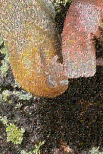 Untitled by wstraksys