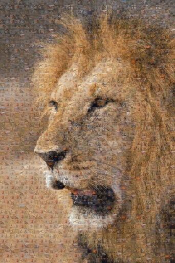 Untitled by jaquelinaf