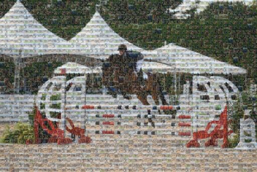 Charlotte Parkes Equestrian by perrissima