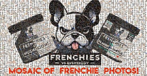 Frenchies vs Everybody: Customer Mosaic by frenchiesvseverybody