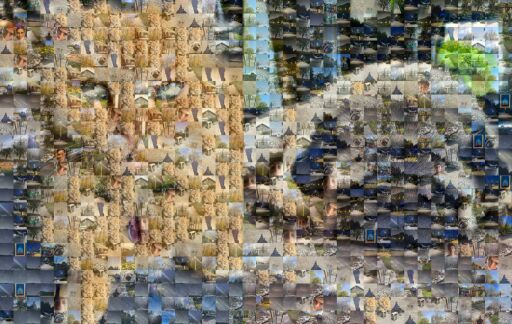 Two Cats Dog by vicerod04