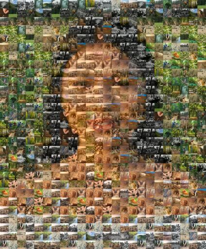 Woman Standing Field Copy by rjguanzon123