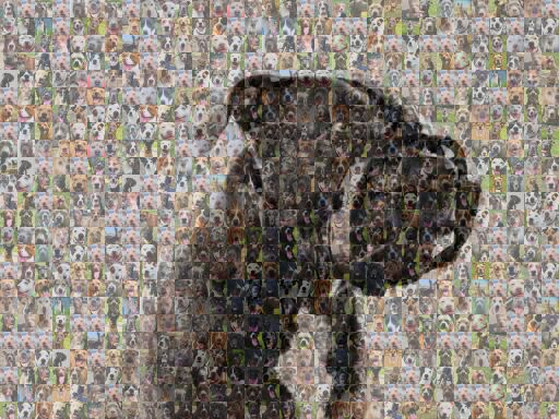 Dog Muzzle Head by majagrand