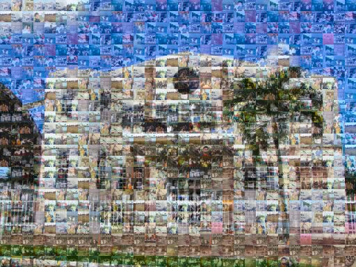 White House Palm by iccf