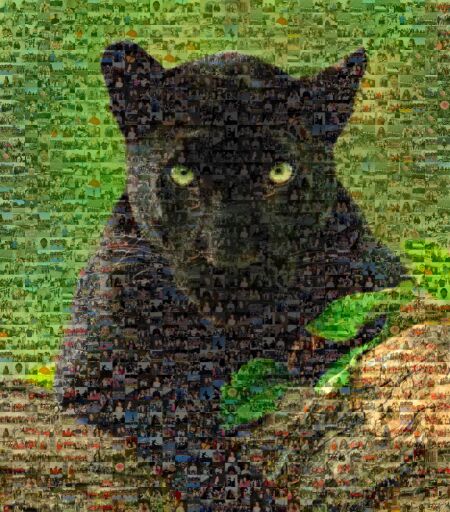 Black Cat Sitting by jsitman