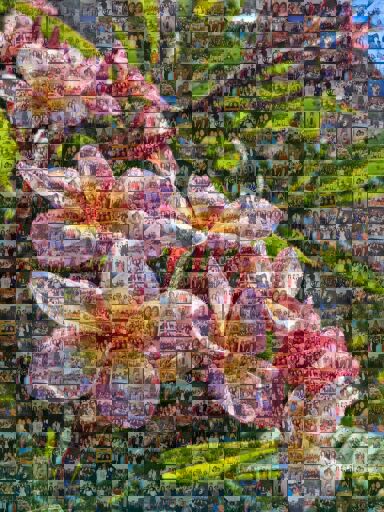 2025 Mom's Gift - Hawaiian Flower at Mom's Place by kevintlam