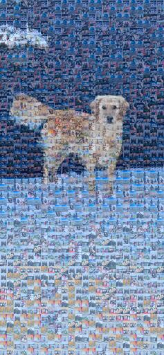 Shanmu 50😎 by nalinim