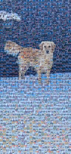 Hero wishes 50th birthday to Shanmu 🐶  by nalinim