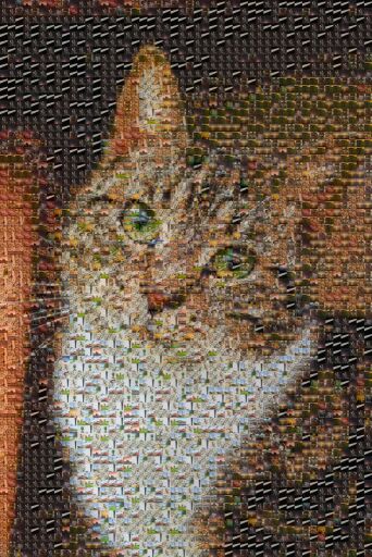 Cat Sitting Wooden by jong990