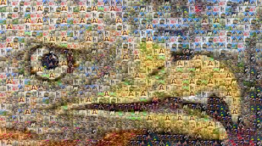 Bird Yellow Beak by omaravila